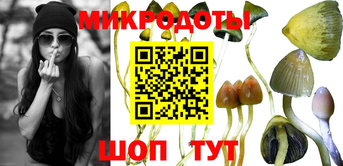 Галлюциногенные грибы Psilocybe  Вход с VPN  Гудермес 
